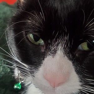 Meet your Posher, Kathy